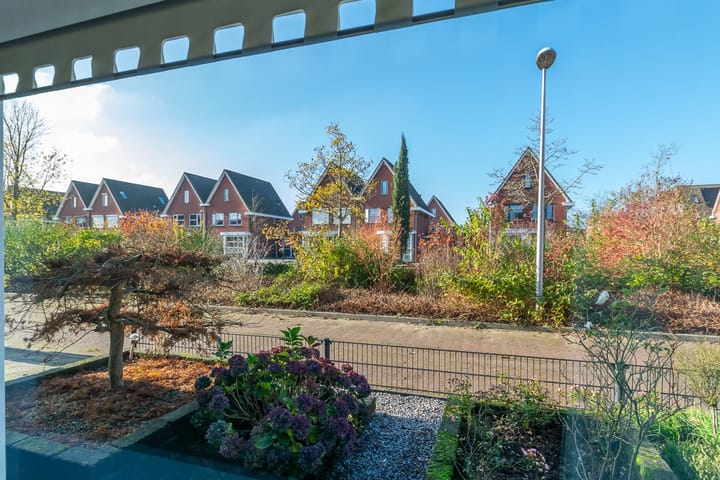 Foto 4 van Parelmoervlinder 18