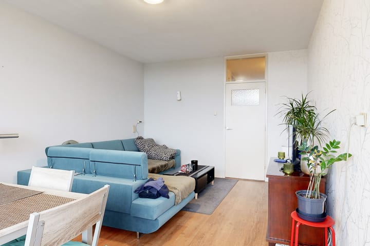 Foto 4 van Elviraland 290