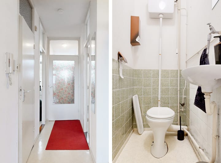 Foto 12 van Elviraland 290