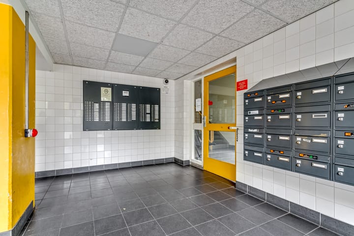 Foto 14 van Elviraland 290