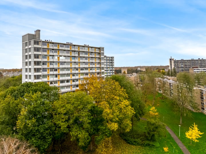 Foto 16 van Elviraland 290