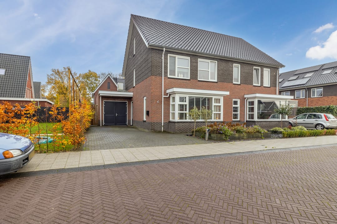 Photo 1 of Citroenvlinder 1