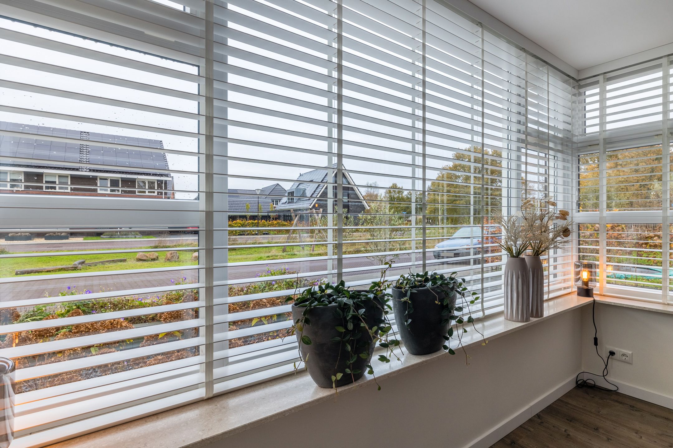 Photo 6 of Citroenvlinder 1