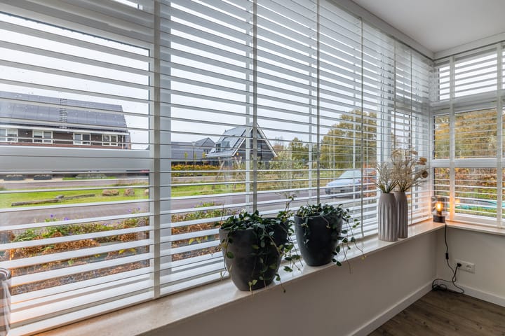 Foto 6 van Citroenvlinder 1