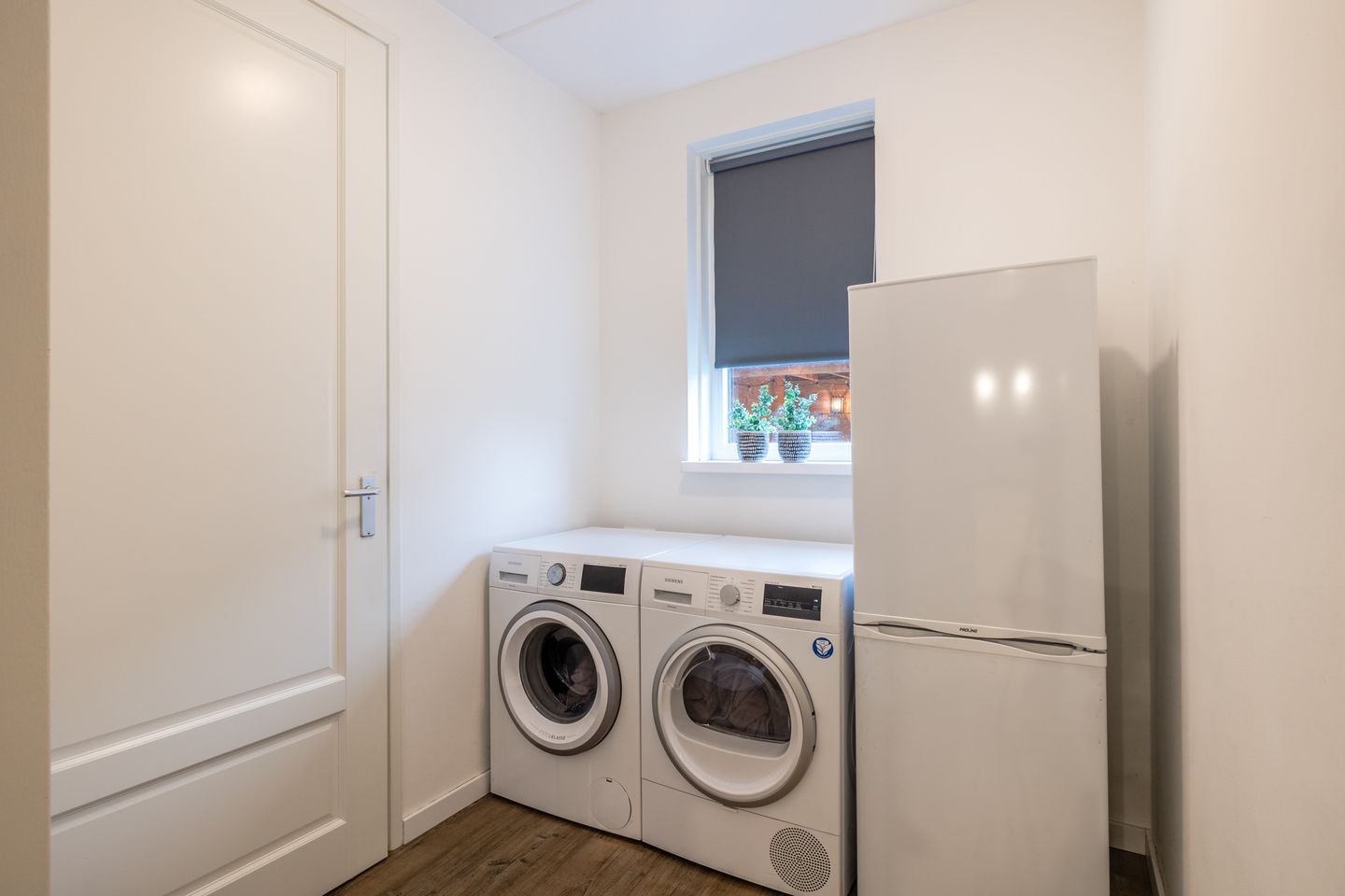 Photo 19 of Citroenvlinder 1