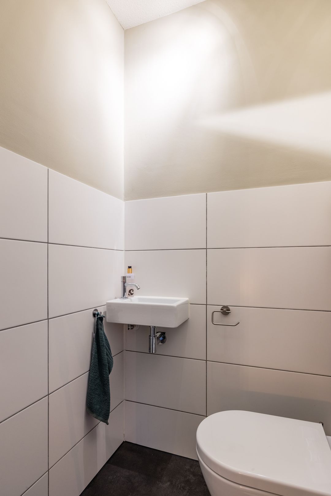 Photo 23 of Citroenvlinder 1