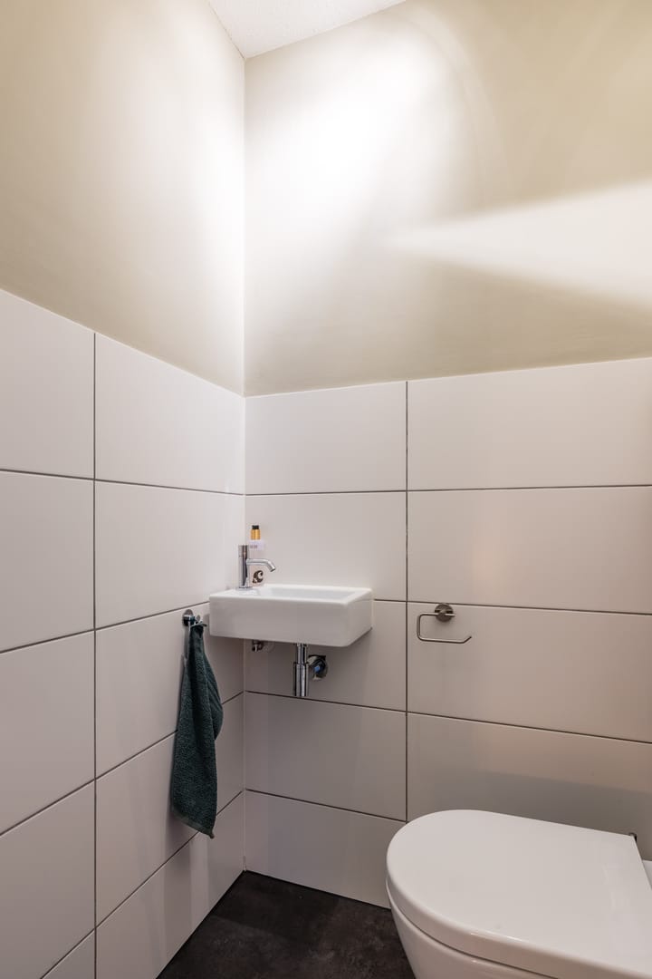 Foto 23 van Citroenvlinder 1