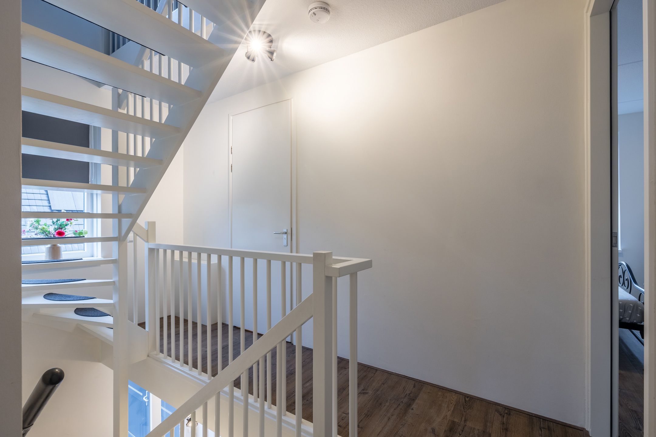 Photo 33 of Citroenvlinder 1