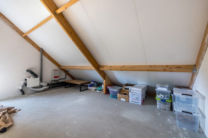 Foto 35 van Citroenvlinder 1