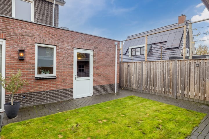 Foto 38 van Citroenvlinder 1