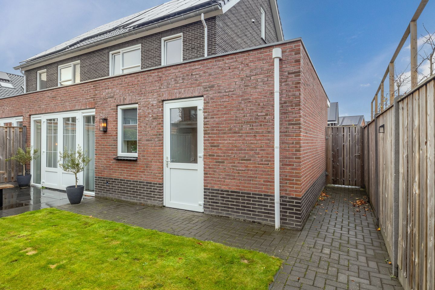 Photo 40 of Citroenvlinder 1