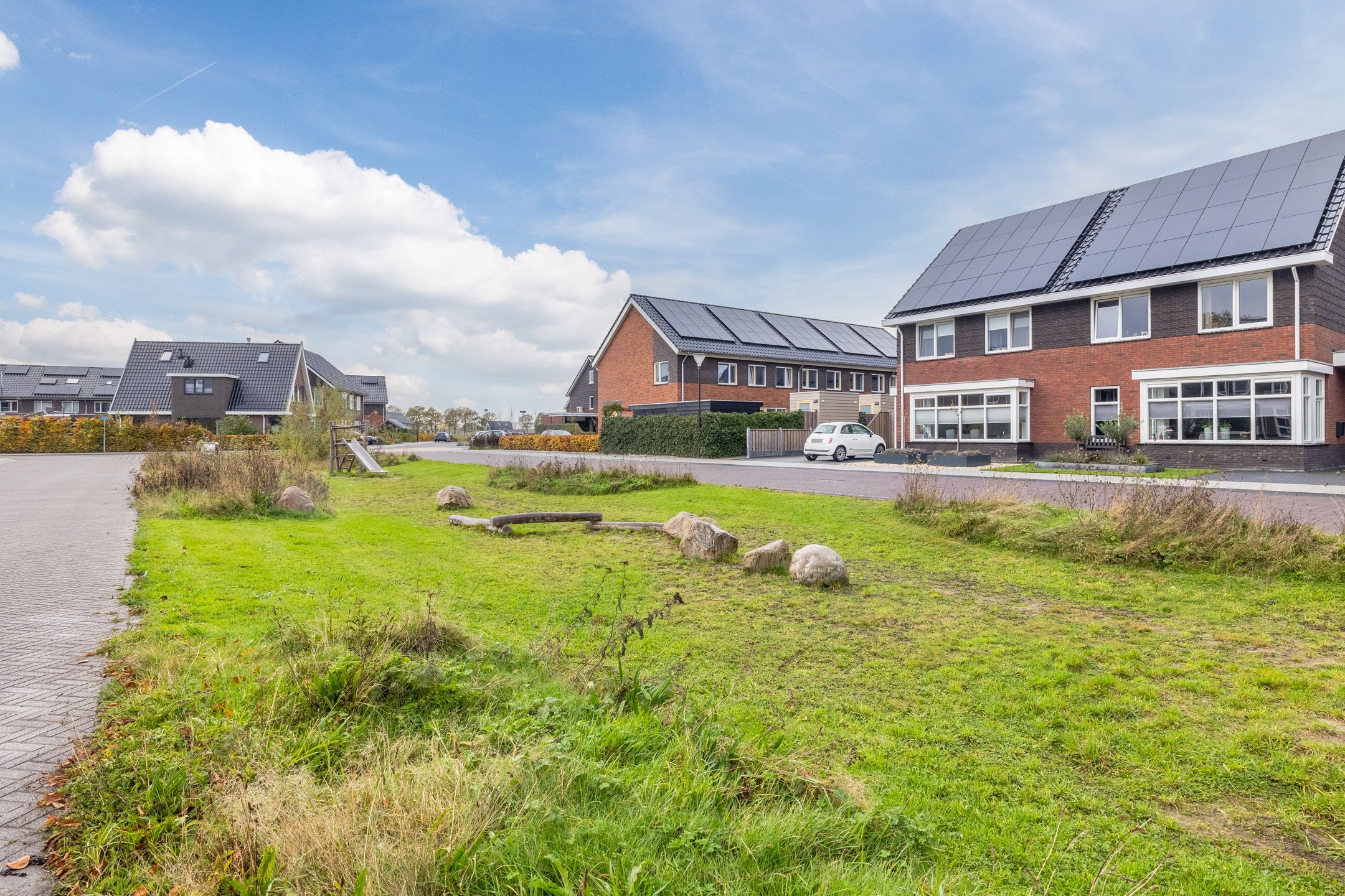 Photo 45 of Citroenvlinder 1