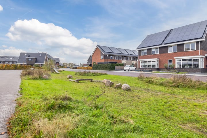 Foto 45 van Citroenvlinder 1