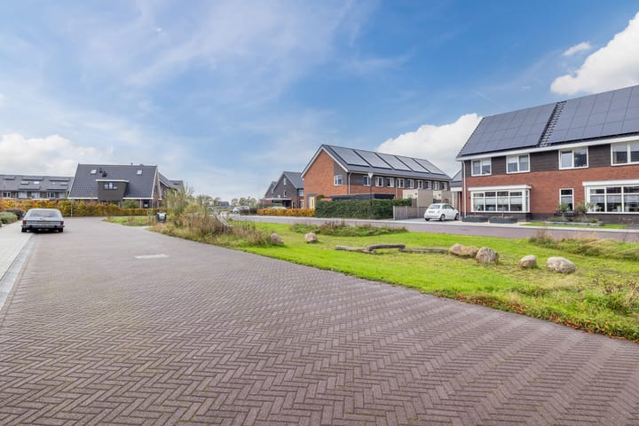 Foto 46 van Citroenvlinder 1