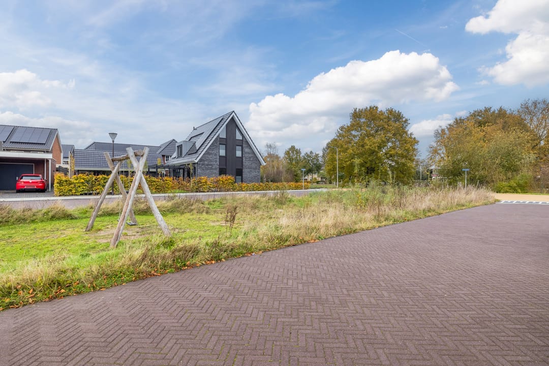 Photo 47 of Citroenvlinder 1