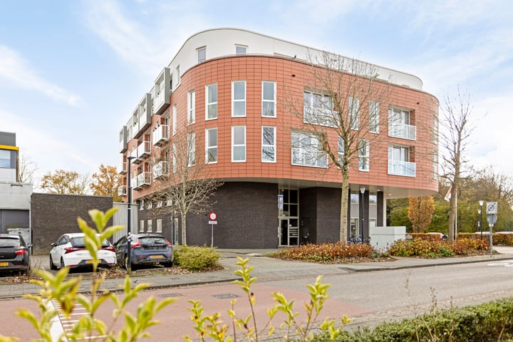 Bekijk foto 3 van Hofstraat 55