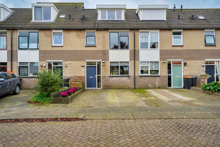 undefined main image