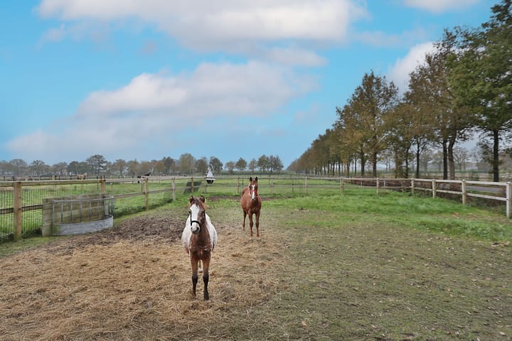 Foto 61 van Voskuilerdijk 8