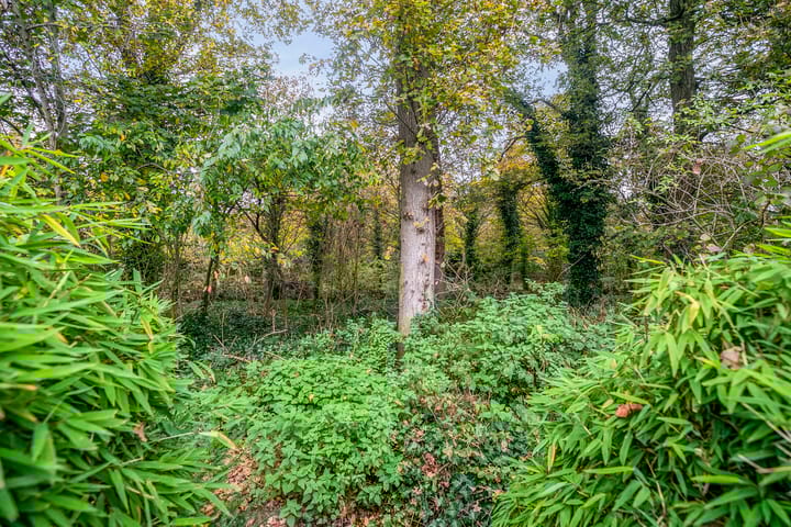 Foto 45 van Hagelkruis 14