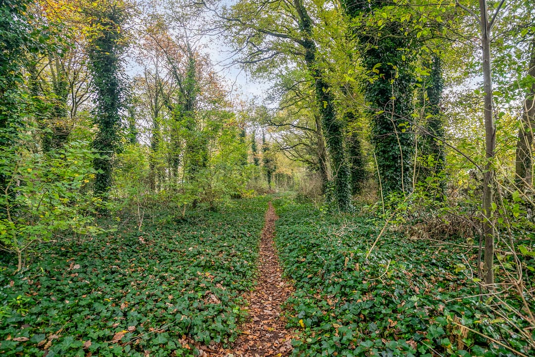 Foto 47 van Hagelkruis 14