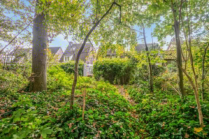 Foto 48 van Hagelkruis 14