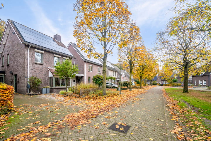 Foto 50 van Hagelkruis 14