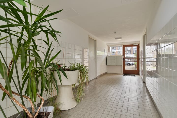 Foto 28 van Nieuwenoord 194