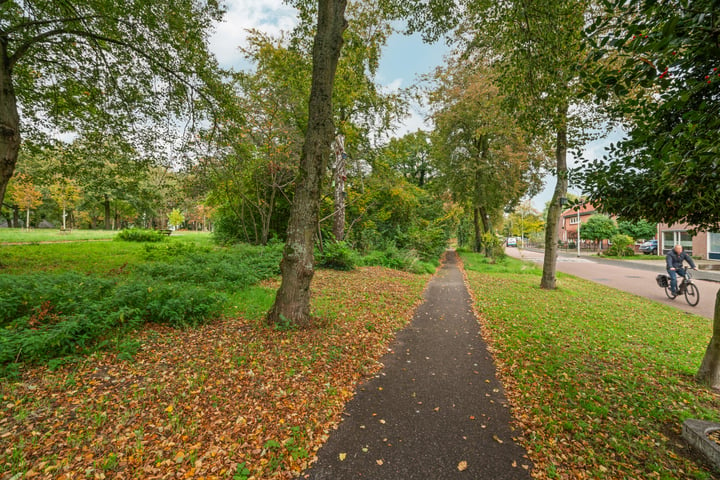 Bekijk foto 28 van Nieuweweg 130-B