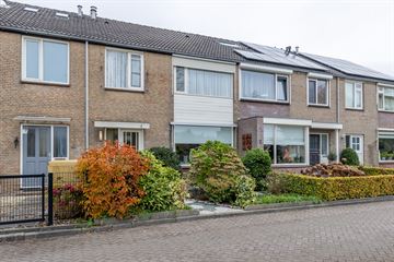 Taets van Amerongenstraat thumbnail