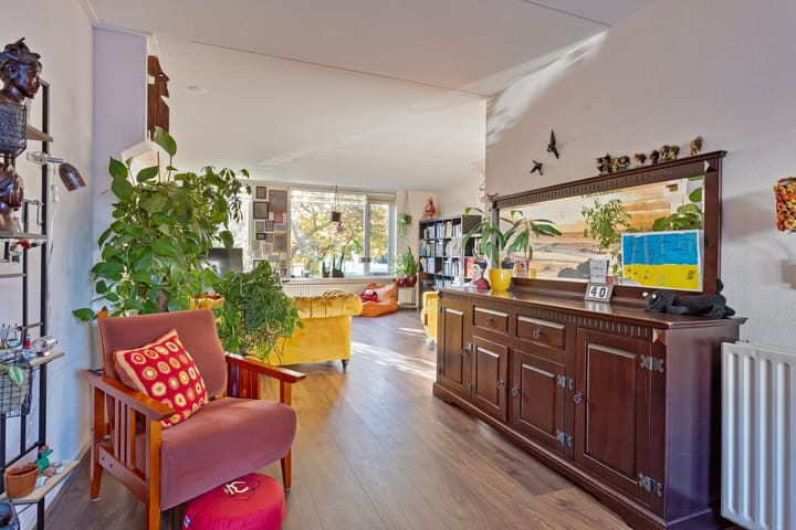 Foto 3 van Penningkruid 59