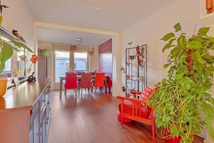 Foto 4 van Penningkruid 59