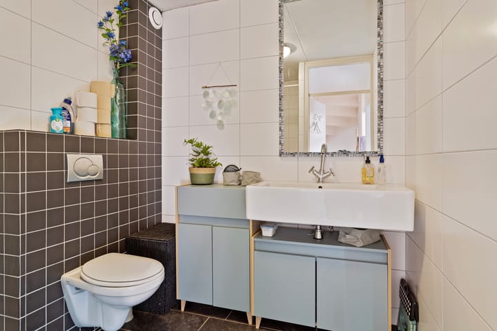 Foto 6 van Penningkruid 59