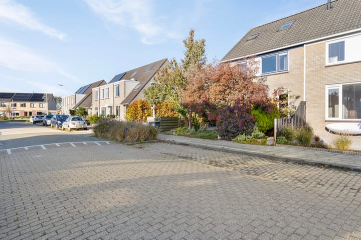 Foto 29 van Penningkruid 59