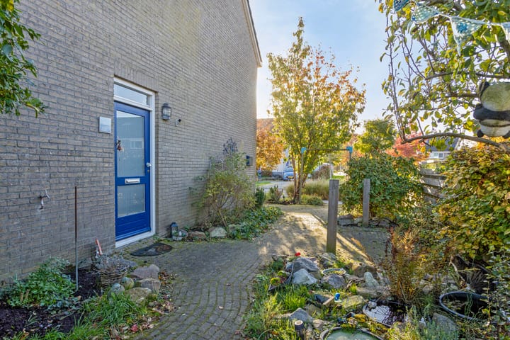 Foto 27 van Penningkruid 59