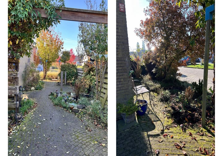 Foto 28 van Penningkruid 59