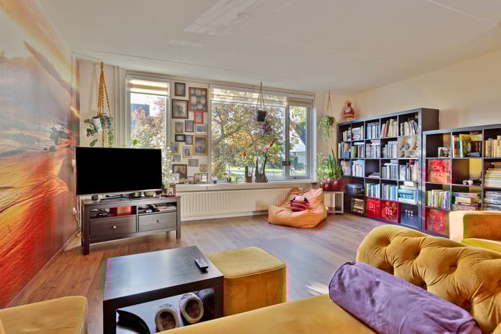 Foto 8 van Penningkruid 59