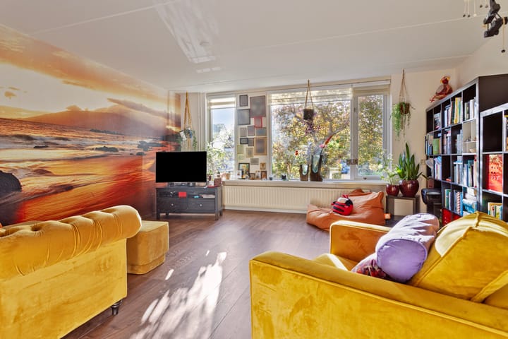 Foto 9 van Penningkruid 59