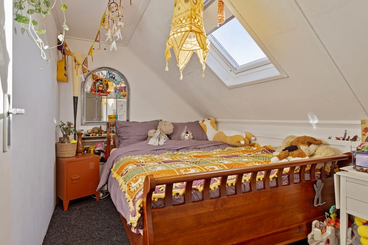 Foto 24 van Penningkruid 59