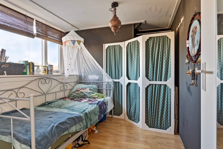 Foto 25 van Penningkruid 59