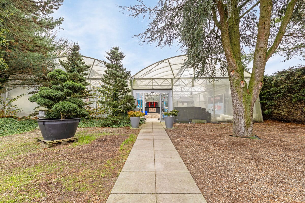 Photo 24 of Hansenberg 6