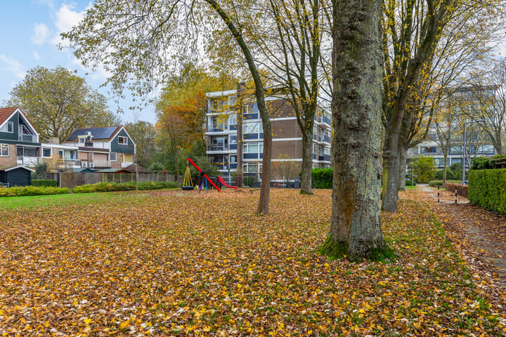 Foto 20 van Platostraat 48