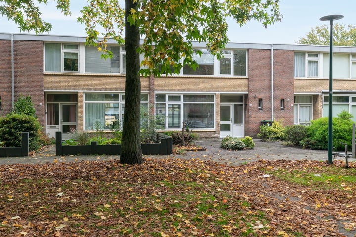 Bekijk foto 33 van Rijnstraat 12