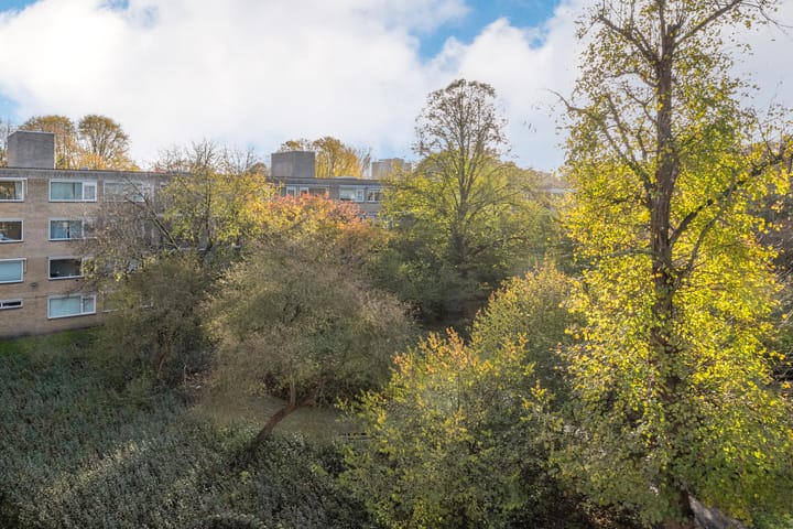 Foto 14 van Gijsbrecht van IJselsteinstraat 239