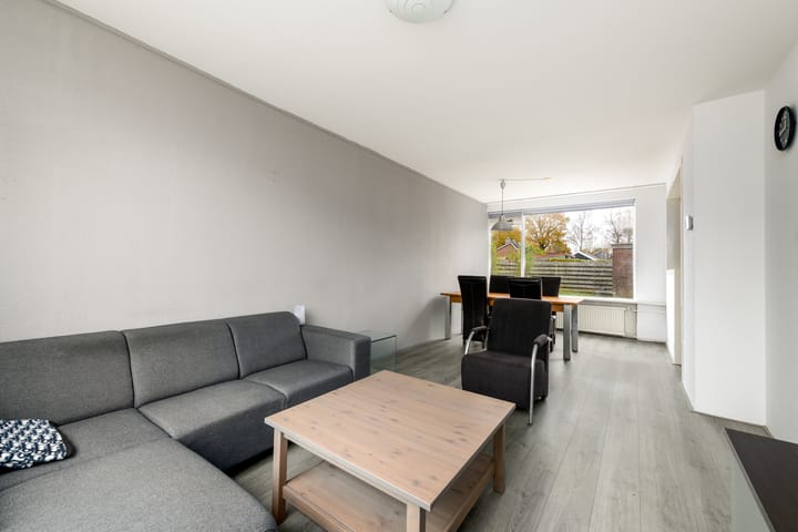 Photo 8 of Piterpôlle 14