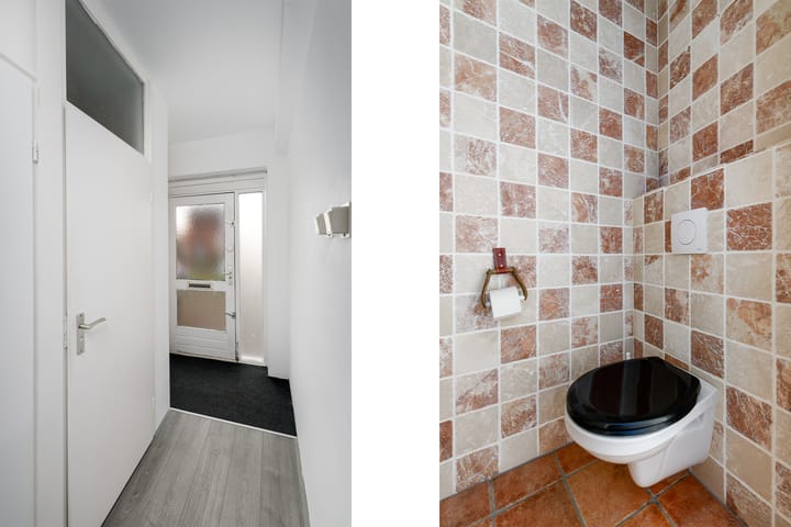 Photo 17 of Piterpôlle 14