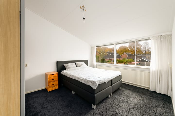 Photo 19 of Piterpôlle 14