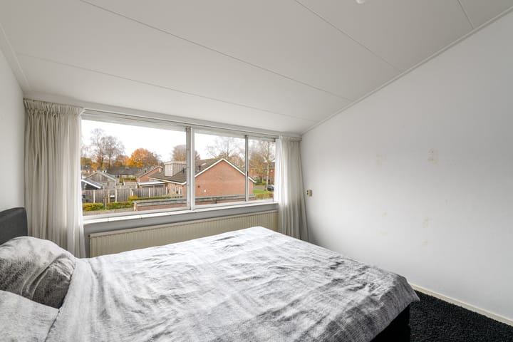 Photo 20 of Piterpôlle 14