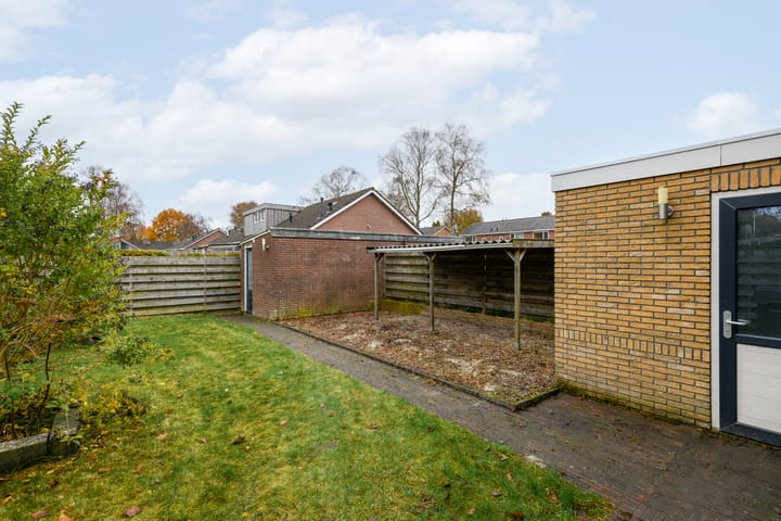 Photo 29 of Piterpôlle 14