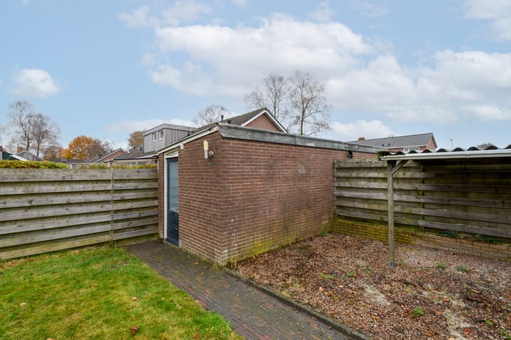 Photo 31 of Piterpôlle 14