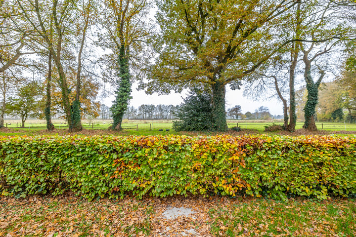 Foto 4 van Gagels 19